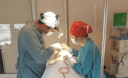 dr-Karen-Manvelyan-2